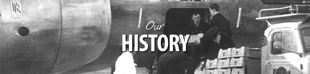 Our History
