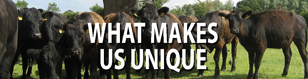 What Makes us Unique